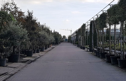 West-Friesland Plant