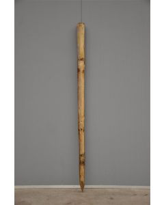 Boompaal onbehandeld/geschild 200 x Ø8 cm