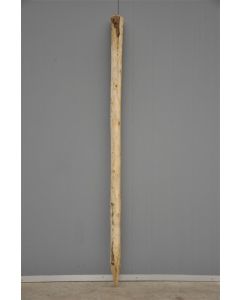 Boompaal onbehandeld/geschild 160 x Ø7 cm